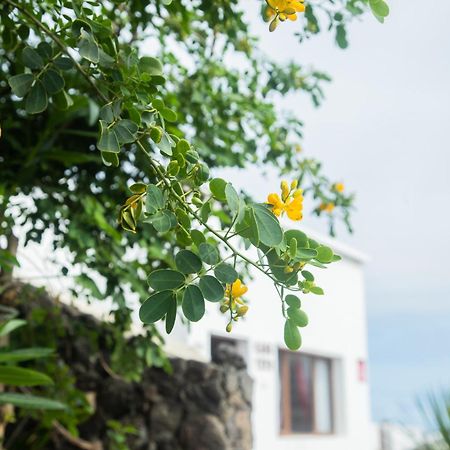 Casa Rural Yeyo En El Crater Del Volcan Tinguaton ภายนอก รูปภาพ